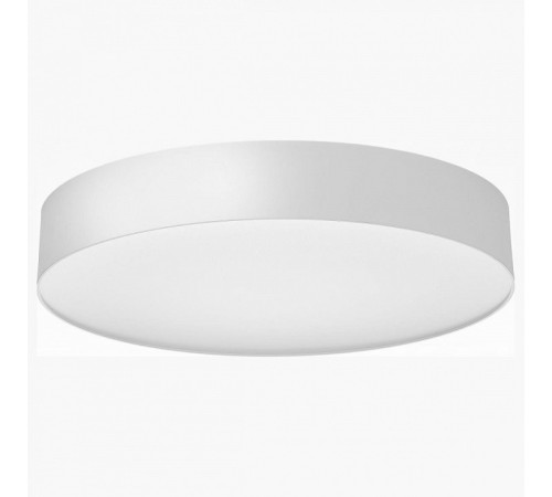 Накладной светильник Citilux BART CL755390