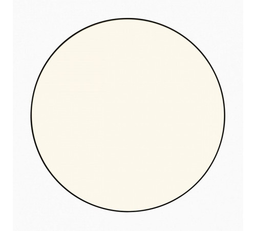 Накладной светильник Citilux BART CL755391