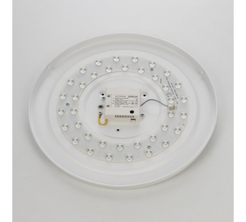 Накладной светильник Citilux BART CL755391