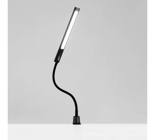 Настольная лампа офисная Citilux Рио CL803091N