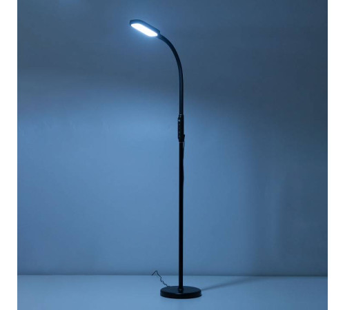 Торшер Citilux Марк CL804021