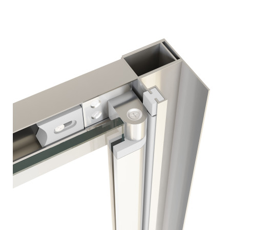 Душевая дверь в нишу RGW Passage PA-21 1200х1950 мм хром 06082112-11