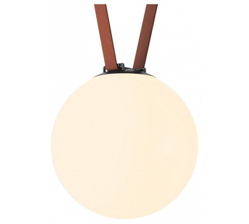 Накладной светильник Denkirs Belty Orb DK5555-BK