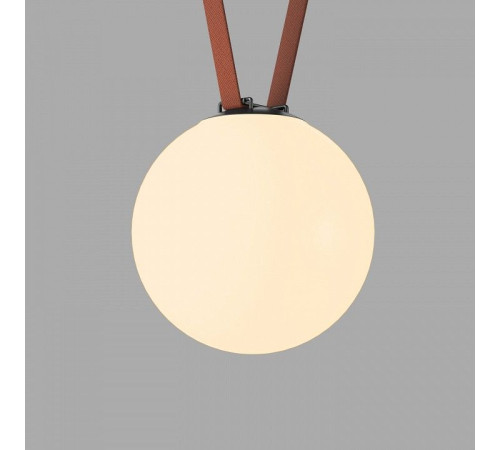 Накладной светильник Denkirs Belty Orb DK5555-BK