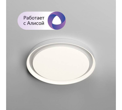 Накладной светильник Denkirs Cany DK6516-WH