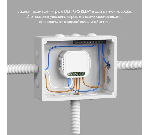 Контроллер-диммер Wi-Fi для смартфонов и планшетов Denkirs Relay RL1004-DM/1