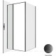 Душевое ограждение Allen Brau Priority 1000x1000 мм 8 мм черный браш 3.31030.BBA/3.31048.BBA