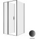 Душевое ограждение Allen Brau Priority 1000x1000 мм 8 мм черный браш 3.31030.BBA/3.31048.BBA