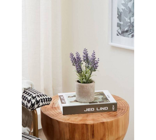 Растение в горшке Eglo Chitose 428031