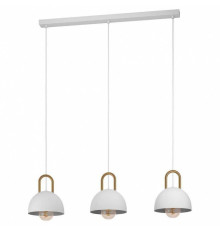 Подвесной светильник Eglo ПРОМО Calmanera 99696