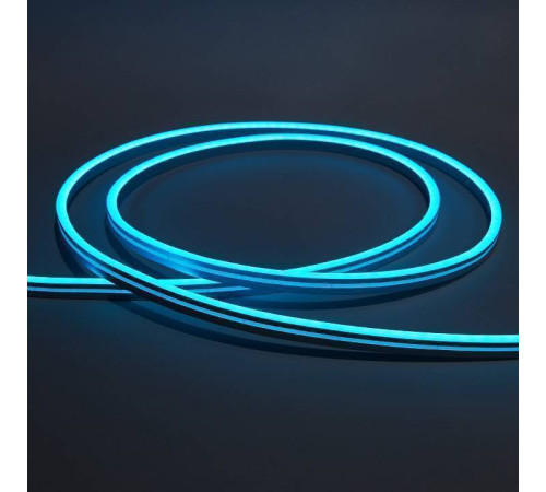 Шнур световой Eleganz EL-N24-96IB