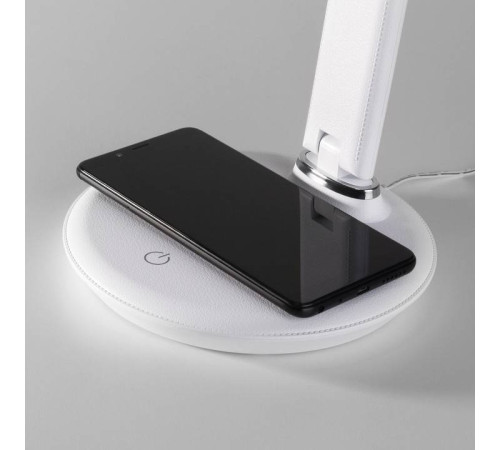 Настольная лампа офисная Elektrostandard Brava a047272