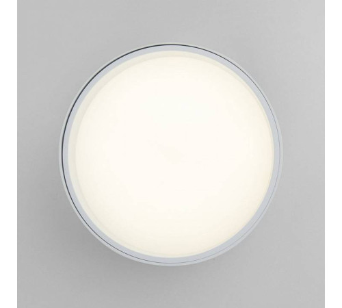 Накладной светильник Elektrostandard Banti a058846