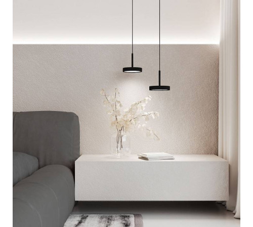 Подвесной светильник Elektrostandard Plate a065411