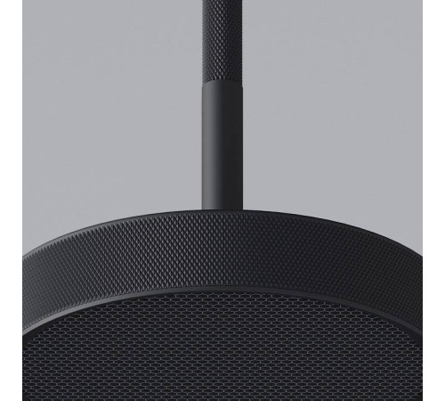 Подвесной светильник Elektrostandard Plate a065411