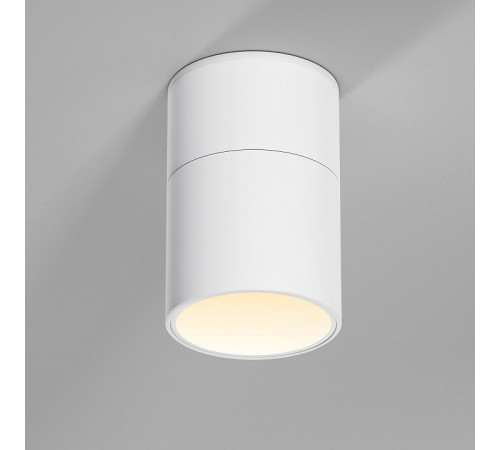 Накладной светильник Elektrostandard Rolly a067486