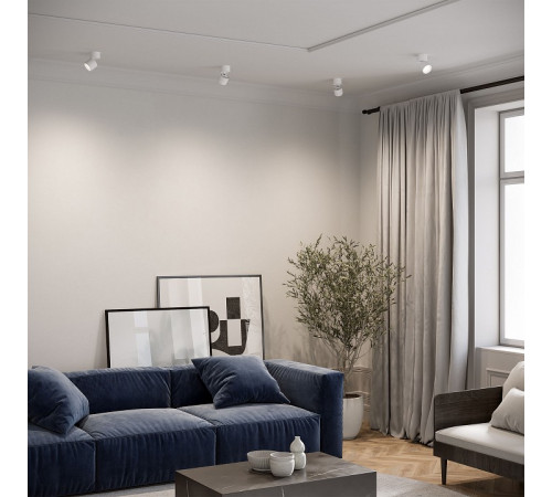 Накладной светильник Elektrostandard Rolly a067487