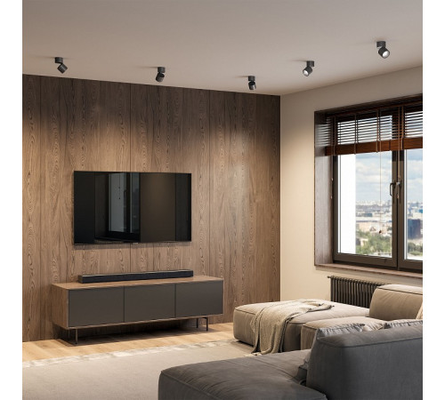 Накладной светильник Elektrostandard Rolly a067488