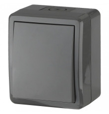 Переключатель одноклавишный Эра Эра Эксперт 11-1403-03