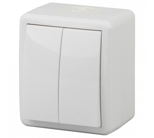 Выключатель двухклавишный Эра Эра Эксперт 11-1404-01