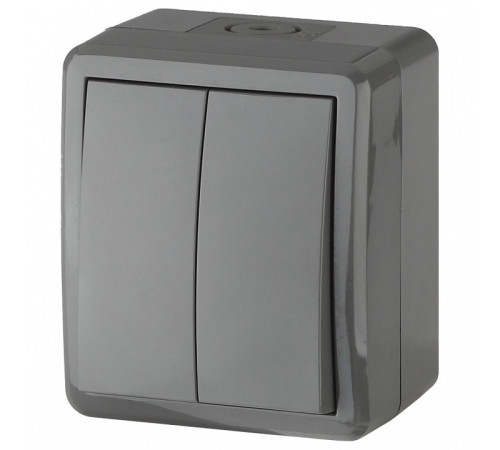 Выключатель двухклавишный Эра Эра Эксперт 11-1404-03