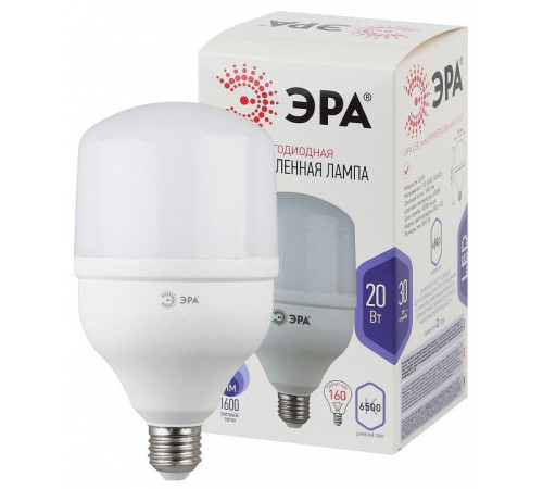 Лампа светодиодная Эра LED POWER T80-20W-6500-E27