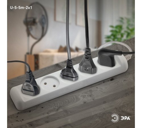 Удлинитель Эра U-5-5m-2x1