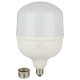 Лампа светодиодная Эра Стандарт LED POWER T160-100W-6500-E27/E40