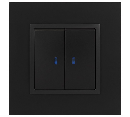 Выключатель двухклавишный с подсветкой без рамки Эра Эра Elegance 14-1105-05