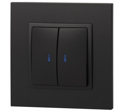 Выключатель двухклавишный с подсветкой без рамки Эра Эра Elegance 14-1105-05