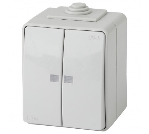 Выключатель двухклавишный с подсветкой Эра Эра Эксперт 11-1605-03