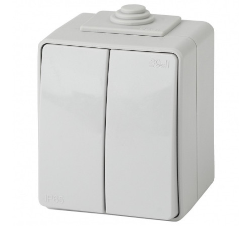 Переключатель двухклавишный ЭРА Эксперт 11-1606-03