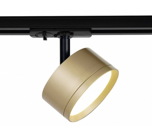 Светильник на штанге Эра TR48 - GX53 MG