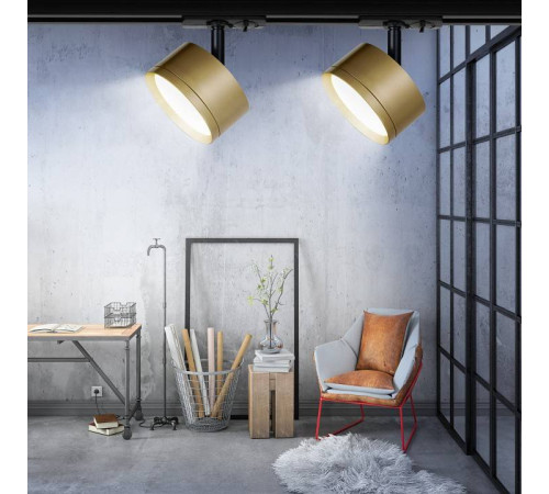 Светильник на штанге Эра TR48 - GX53 MG