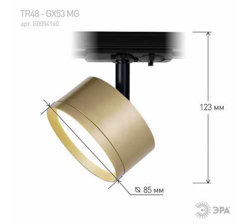Светильник на штанге Эра TR48 - GX53 MG