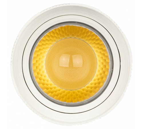 Светильник на штанге Эра TR59 - 2040 WH