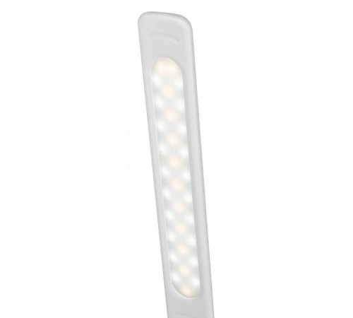 Настольная лампа офисная Эра NLED-502-11W-W