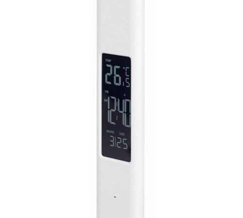 Настольная лампа офисная Эра NLED-505-10W-W