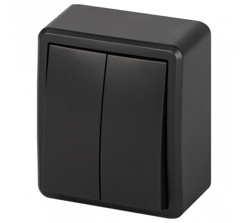 Выключатель двухклавишный Эра Эра Эксперт 11-1204-05