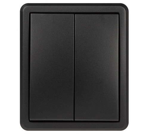 Выключатель двухклавишный Эра Эра Эксперт 11-1204-05