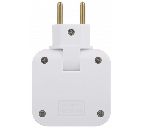 Разветвитель Эра SPF-2-FL-USBC