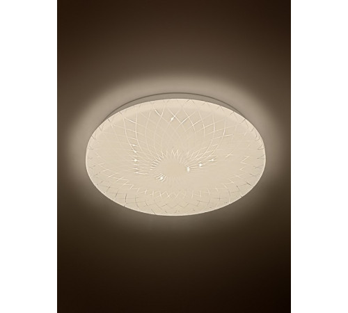 Накладной светильник Эра Slim Lily SPB-6 Slim Lily 18W-4K