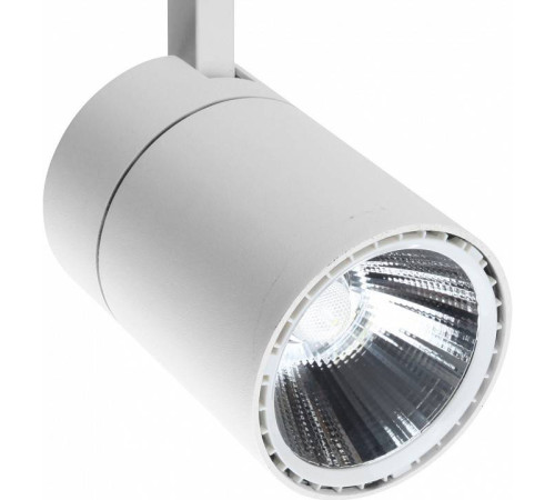 Светильник на штанге Escada 20032 20032TRA/01LED SWH