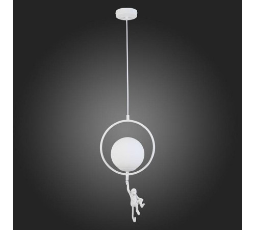 Подвесной светильник EVOLUCE Tenato SLE115113-01