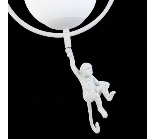 Подвесной светильник EVOLUCE Tenato SLE115113-01