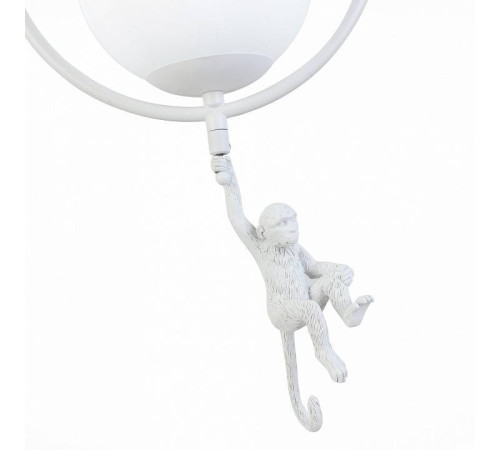 Подвесной светильник EVOLUCE Tenato SLE115113-01