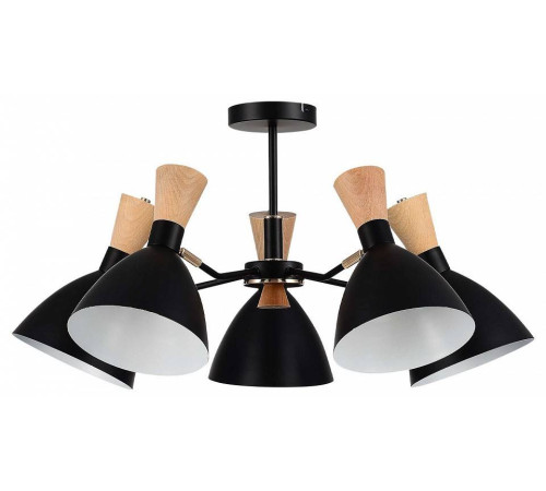 Люстра на штанге EVOLUCE VISTA SLE1256-402-05