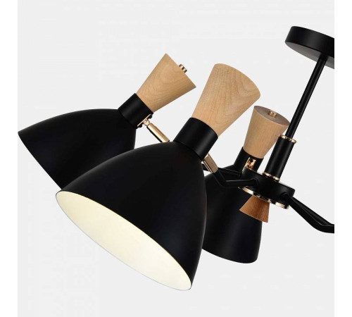 Люстра на штанге EVOLUCE VISTA SLE1256-402-05