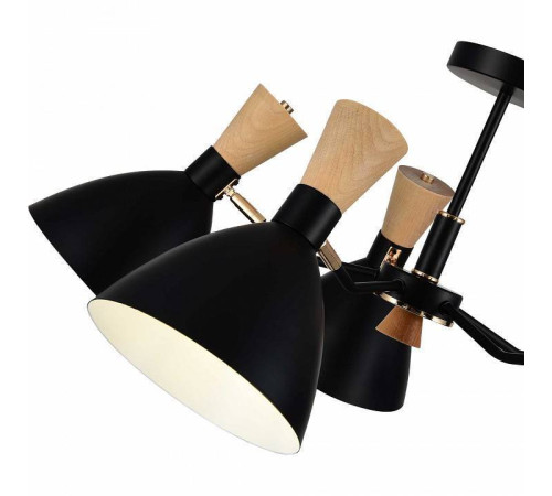 Люстра на штанге EVOLUCE VISTA SLE1256-402-05