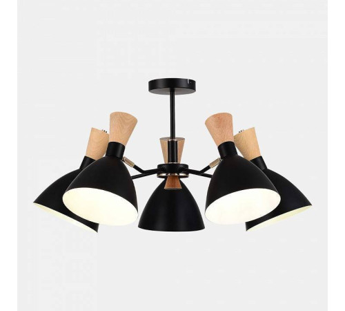 Люстра на штанге EVOLUCE VISTA SLE1256-402-05